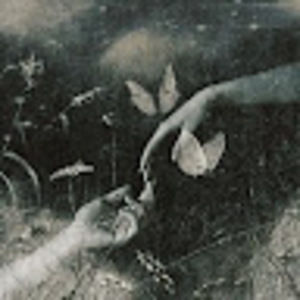 Meet your Posher, Ray